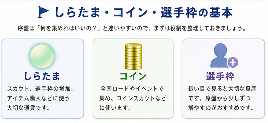 しらたま・コイン・選手枠の基本。しらたま、コイン、選手枠の役割をまとめた画像。